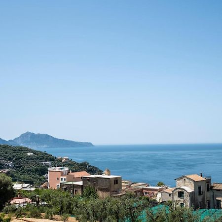 Neva Suites Massa Lubrense Sorrento Coast Ngoại thất bức ảnh