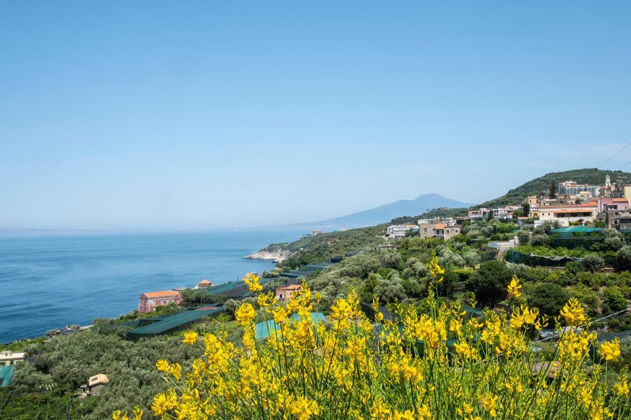 Neva Suites Massa Lubrense Sorrento Coast Ngoại thất bức ảnh